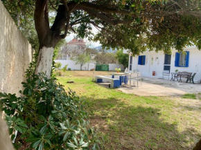 Relaxation, Nature and Sea Near the Airport!, Loutsa